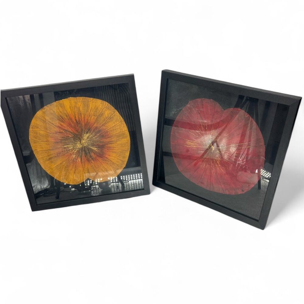 Uttermost Set of 2 Botanical Shadow Box Wall Art Dried Lotus Flower 45" Square